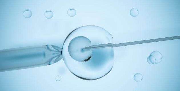 试管婴儿移植鲜胚还是冻胚，应该怎么选择