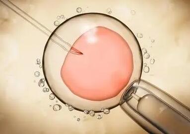 试管胚胎移植后使用雪诺酮排出的褐色药渣是血吗