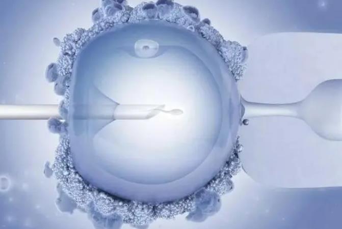卵巢功能不好可以做试管吗，这些因素都会影响怀孕几率