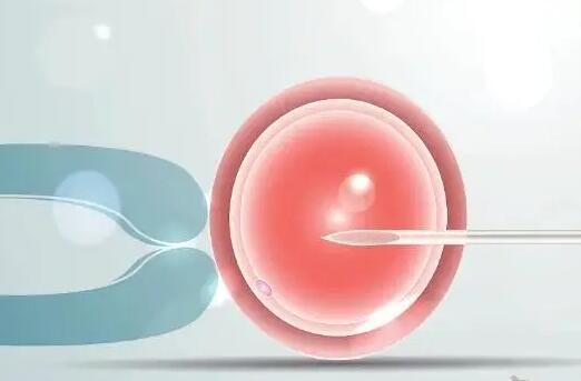 泰国试管婴儿应对女性流产，试管婴儿胚胎移植后发流产怎么办