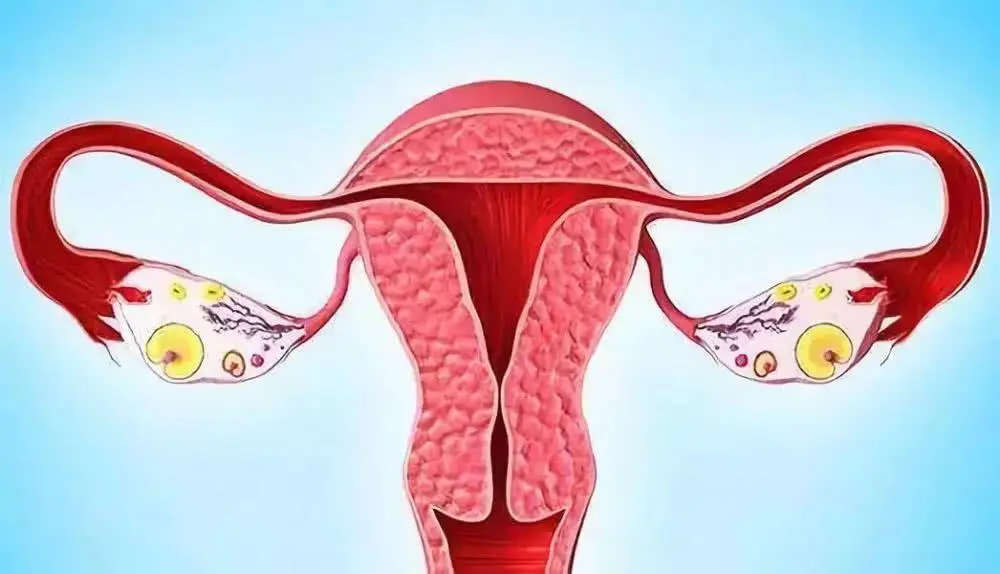 试管移植32天孕囊大小如何判断，孕囊大小和血值hcg关系的重要性