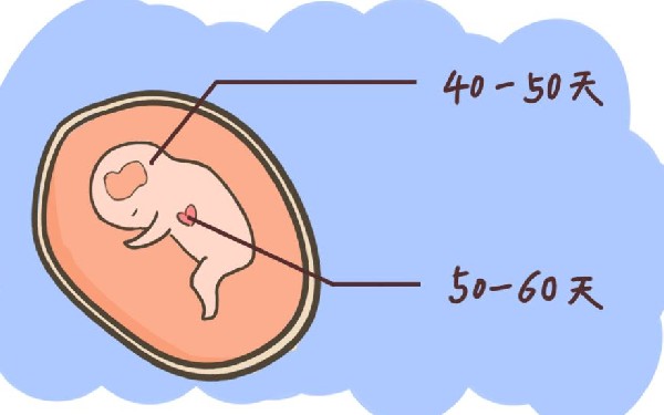 试管婴儿不能避免溶血问题，这样做能降低溶血的概率