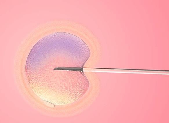 胚胎质量和内膜都很好但总是不着床怎么办